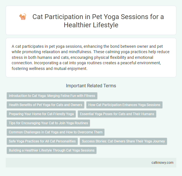 Cat Participation in Pet Yoga Sessions for a Healthier Lifestyle