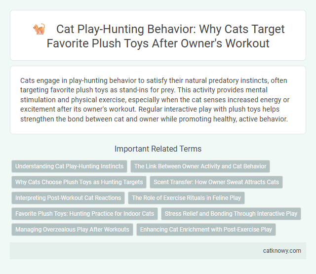 Cat Play-Hunting Behavior: Why Cats Target Favorite Plush Toys After Owner's Workout