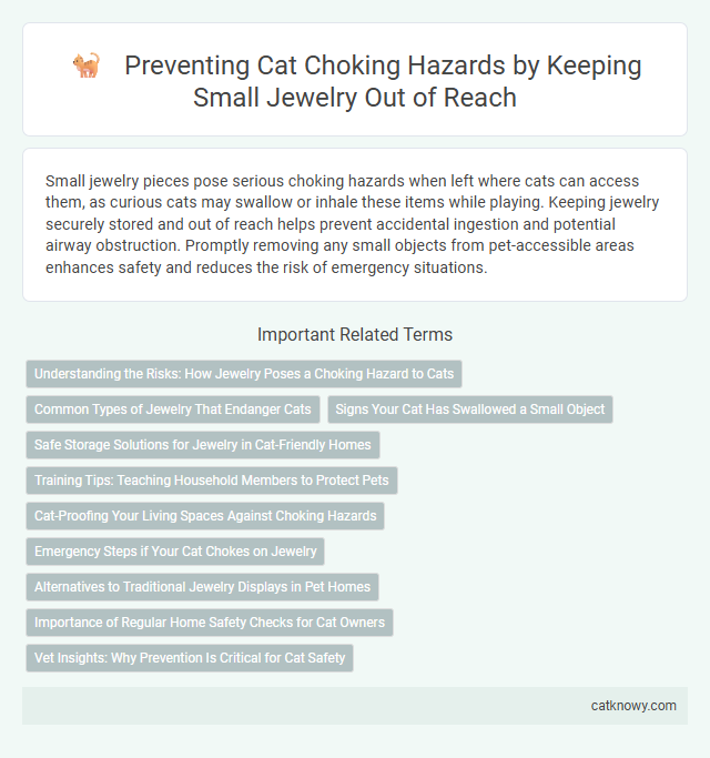 Preventing Cat Choking Hazards by Keeping Small Jewelry Out of Reach