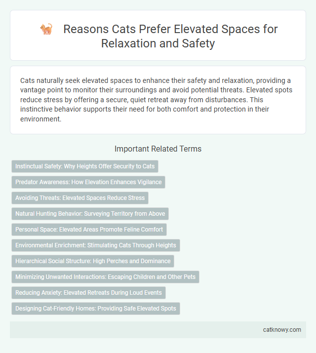 Reasons Cats Prefer Elevated Spaces for Relaxation and Safety