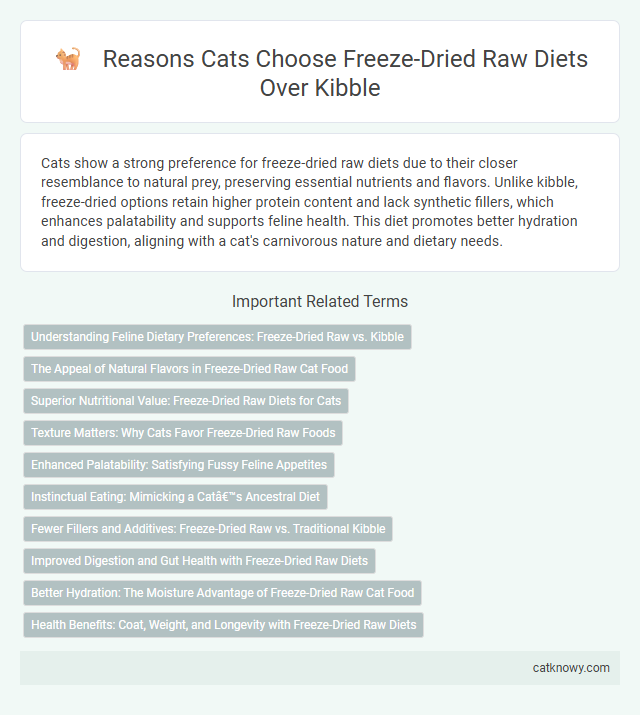 Reasons Cats Choose Freeze-Dried Raw Diets Over Kibble