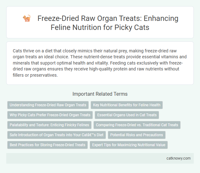 Freeze-Dried Raw Organ Treats: Enhancing Feline Nutrition for Picky Cats