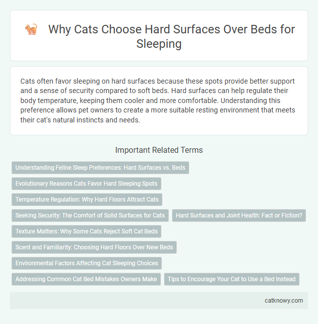 Why Cats Choose Hard Surfaces Over Beds for Sleeping