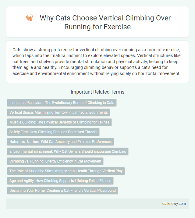 Why Cats Choose Vertical Climbing Over Running for Exercise