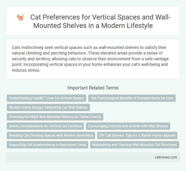 Cat Preferences for Vertical Spaces and Wall-Mounted Shelves in a Modern Lifestyle