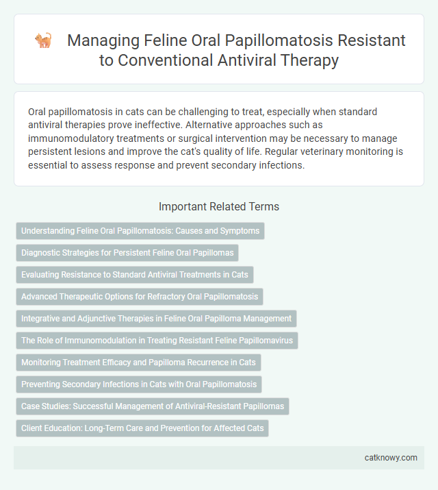 Managing Feline Oral Papillomatosis Resistant to Conventional Antiviral Therapy