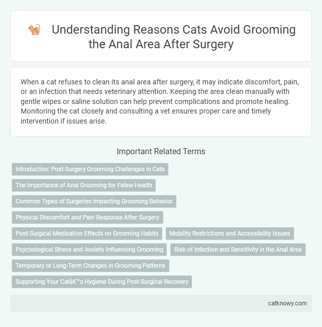 Understanding Reasons Cats Avoid Grooming the Anal Area After Surgery
