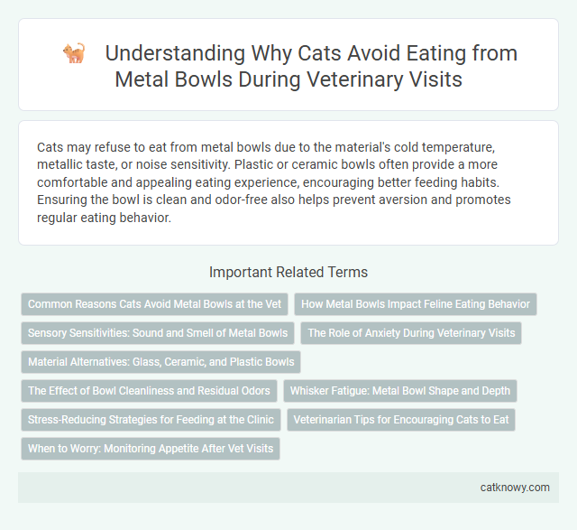 Understanding Why Cats Avoid Eating from Metal Bowls During Veterinary Visits