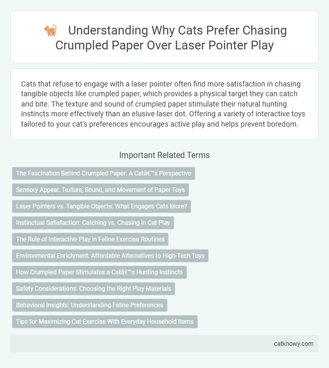 Understanding Why Cats Prefer Chasing Crumpled Paper Over Laser Pointer Play