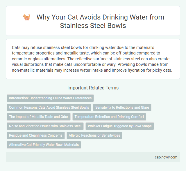 Why Your Cat Avoids Drinking Water from Stainless Steel Bowls