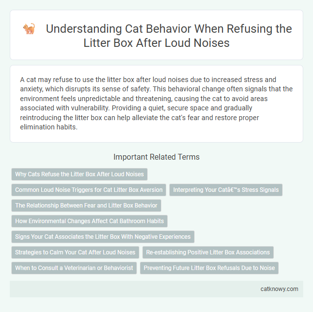 Understanding Cat Behavior When Refusing the Litter Box After Loud Noises