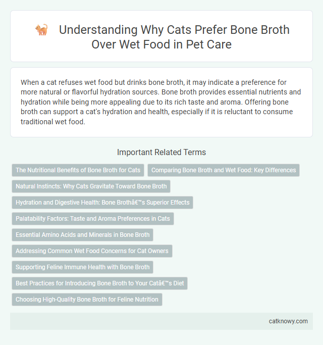 Understanding Why Cats Prefer Bone Broth Over Wet Food in Pet Care