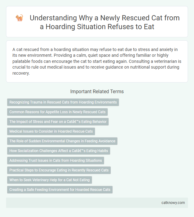 Understanding Why a Newly Rescued Cat from a Hoarding Situation Refuses to Eat