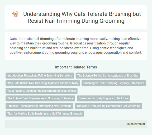 Understanding Why Cats Tolerate Brushing but Resist Nail Trimming During Grooming