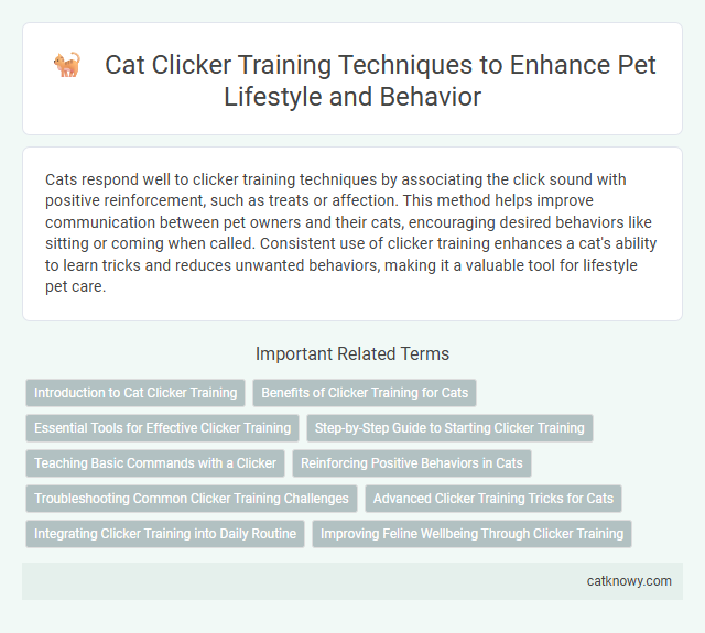 Cat Clicker Training Techniques to Enhance Pet Lifestyle and Behavior