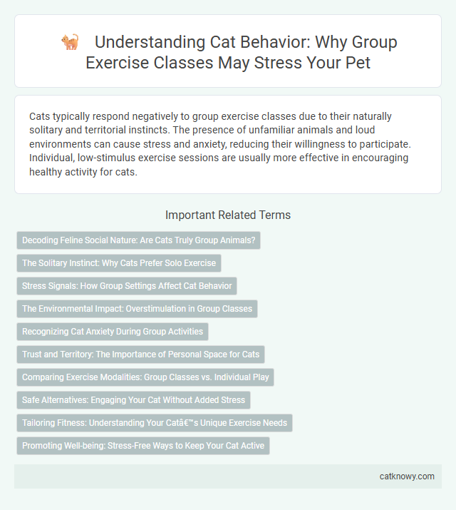 Understanding Cat Behavior: Why Group Exercise Classes May Stress Your Pet