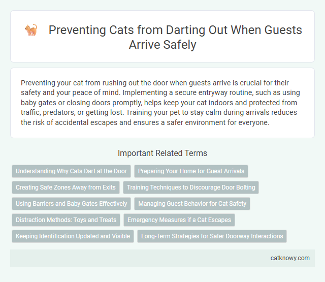 Preventing Cats from Darting Out When Guests Arrive Safely