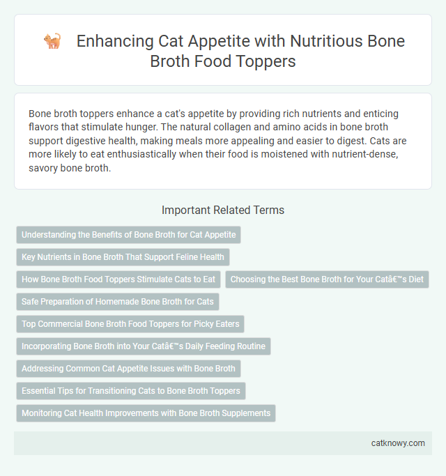 Enhancing Cat Appetite with Nutritious Bone Broth Food Toppers