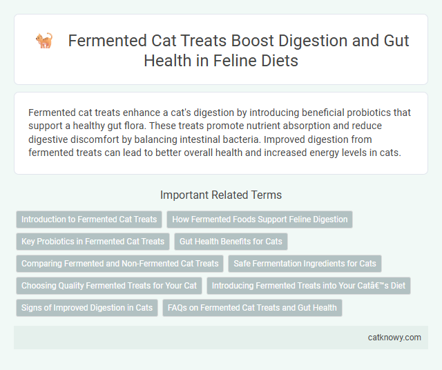 Fermented Cat Treats Boost Digestion and Gut Health in Feline Diets
