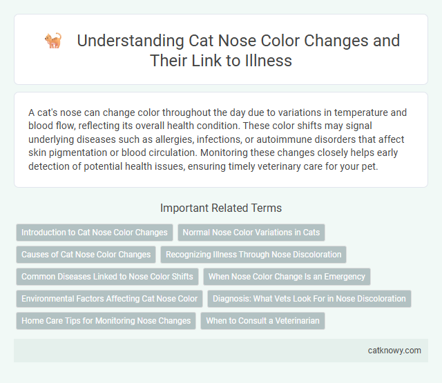 Understanding Cat Nose Color Changes and Their Link to Illness