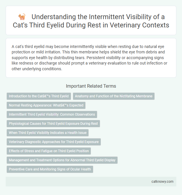 Understanding the Intermittent Visibility of a Cat's Third Eyelid During Rest in Veterinary Contexts