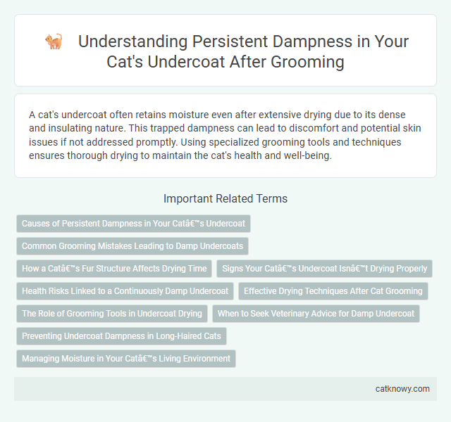 Understanding Persistent Dampness in Your Cat's Undercoat After Grooming