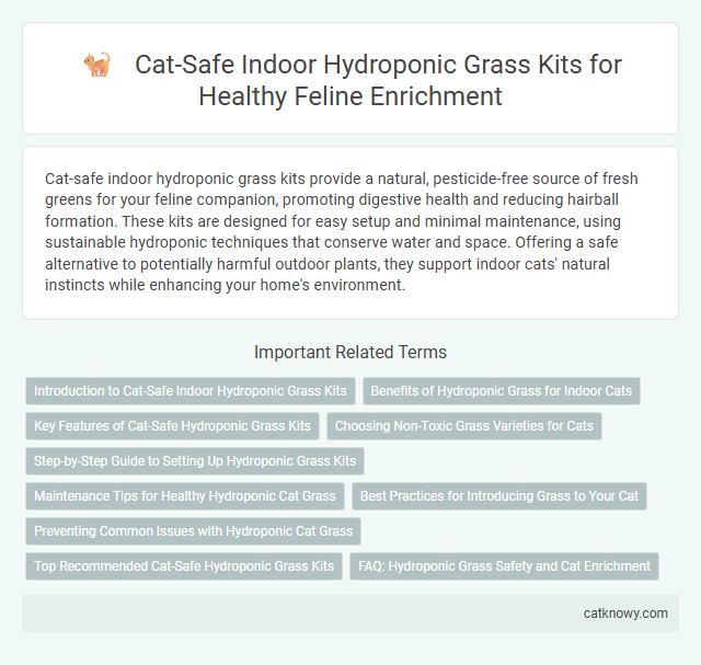 Cat-Safe Indoor Hydroponic Grass Kits for Healthy Feline Enrichment