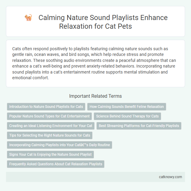 Calming Nature Sound Playlists Enhance Relaxation for Cat Pets