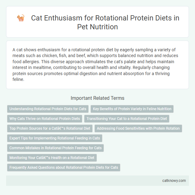 Cat Enthusiasm for Rotational Protein Diets in Pet Nutrition