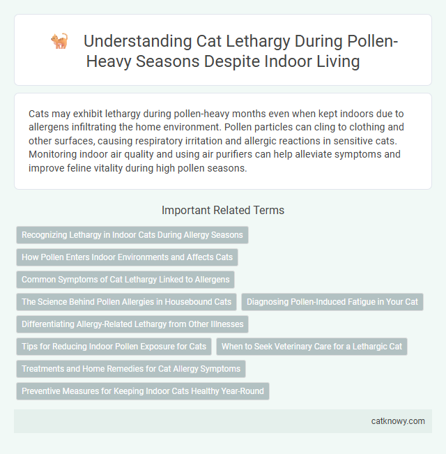 Understanding Cat Lethargy During Pollen-Heavy Seasons Despite Indoor Living