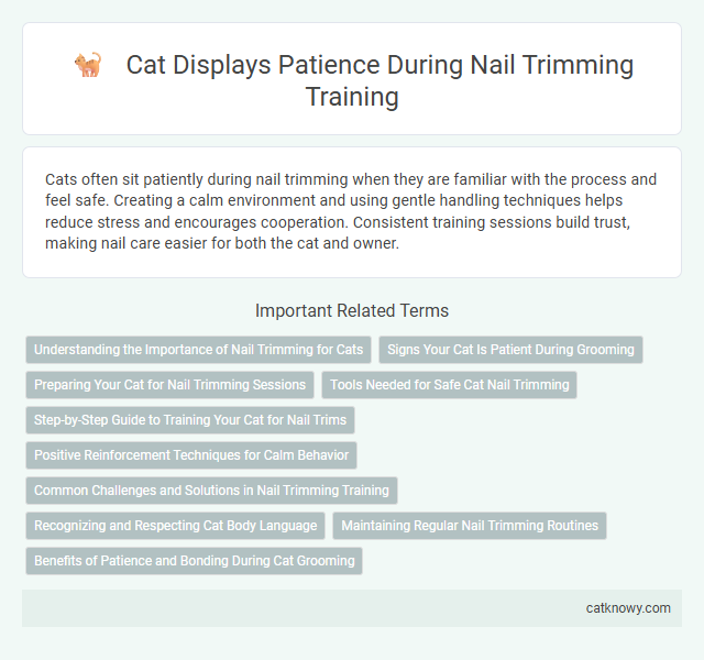 Cat Displays Patience During Nail Trimming Training