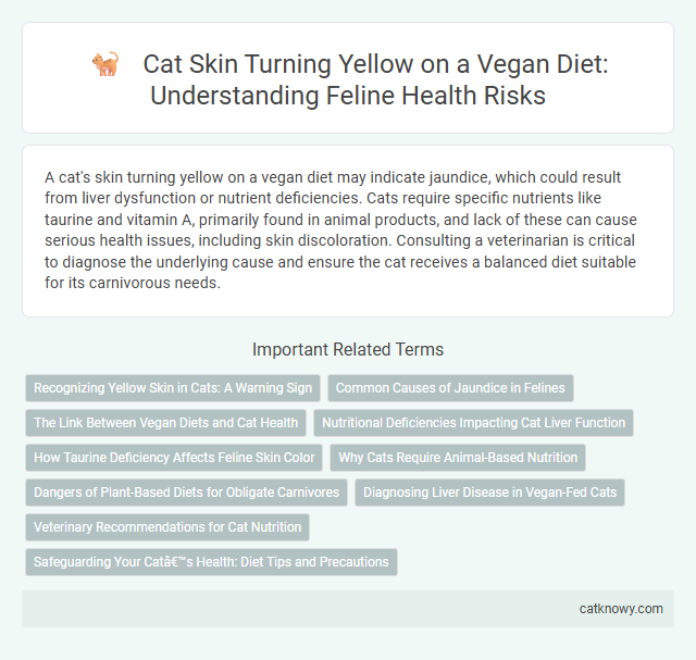 Cat Skin Turning Yellow on a Vegan Diet: Understanding Feline Health Risks