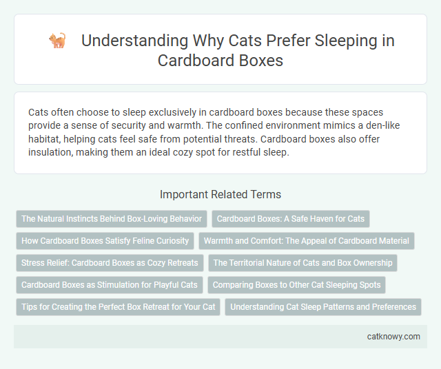 Understanding Why Cats Prefer Sleeping in Cardboard Boxes