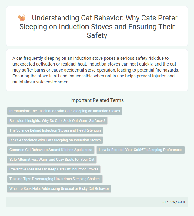 Understanding Cat Behavior: Why Cats Prefer Sleeping on Induction Stoves and Ensuring Their Safety