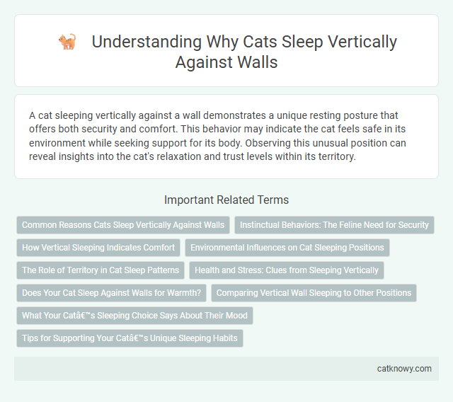 Understanding Why Cats Sleep Vertically Against Walls