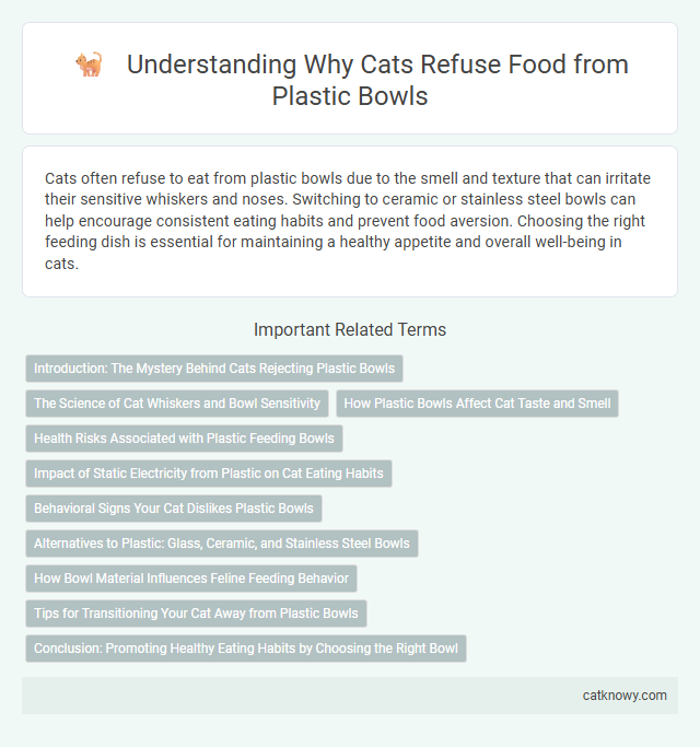 Understanding Why Cats Refuse Food from Plastic Bowls