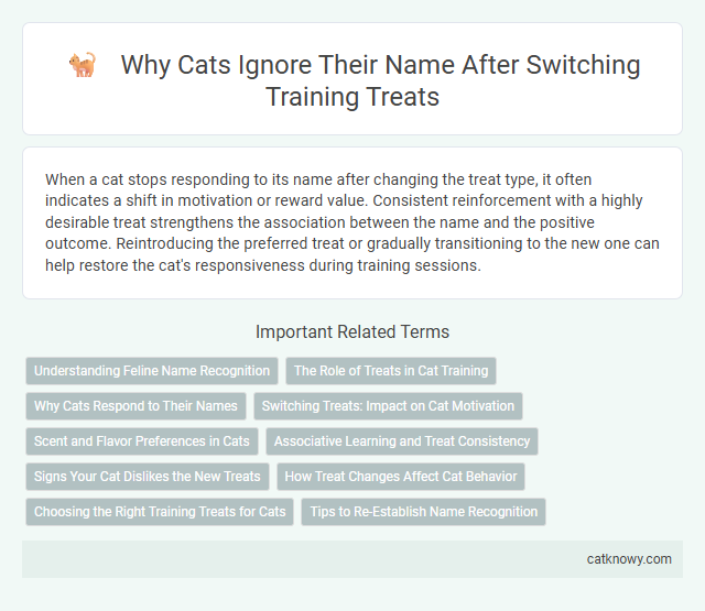 Why Cats Ignore Their Name After Switching Training Treats