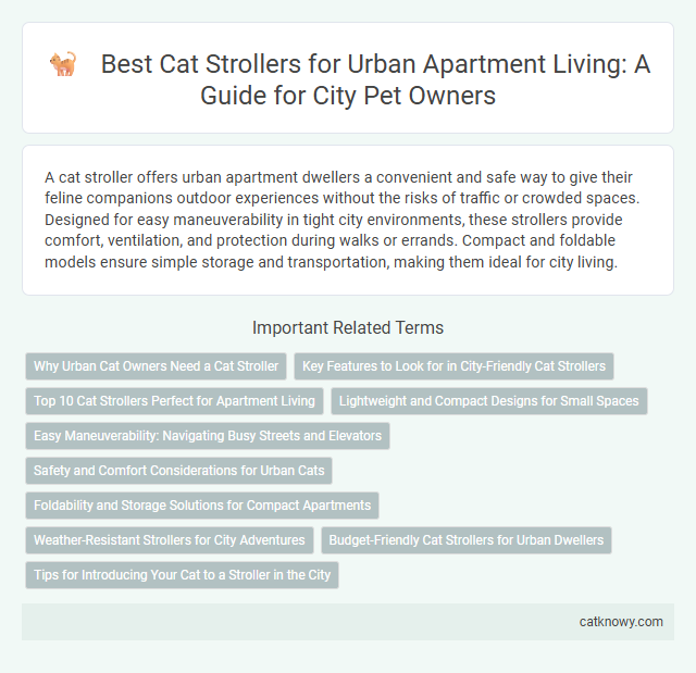 Best Cat Strollers for Urban Apartment Living: A Guide for City Pet Owners