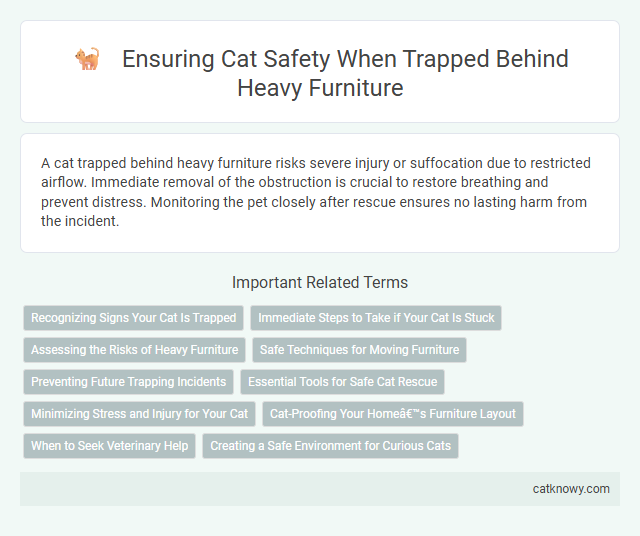 Ensuring Cat Safety When Trapped Behind Heavy Furniture