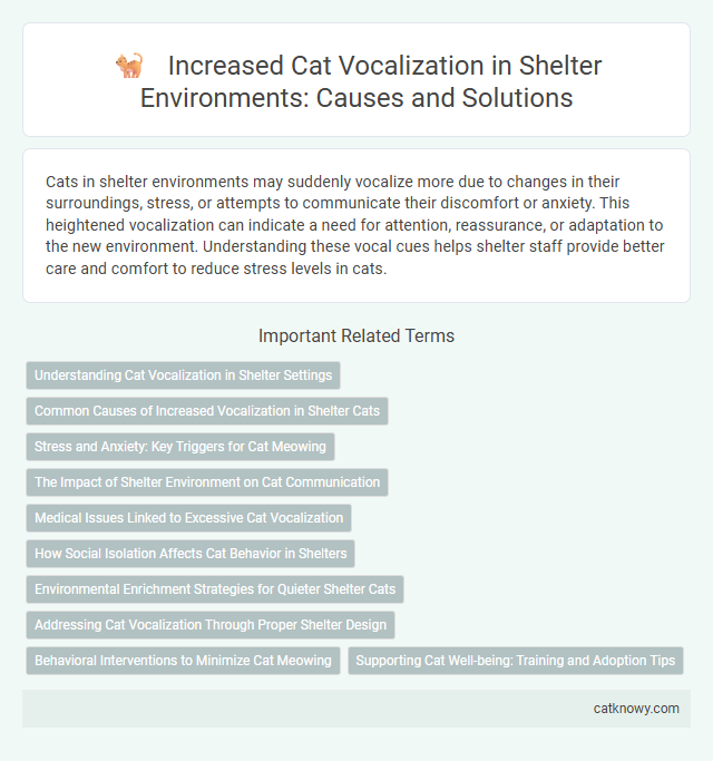 Increased Cat Vocalization in Shelter Environments: Causes and Solutions