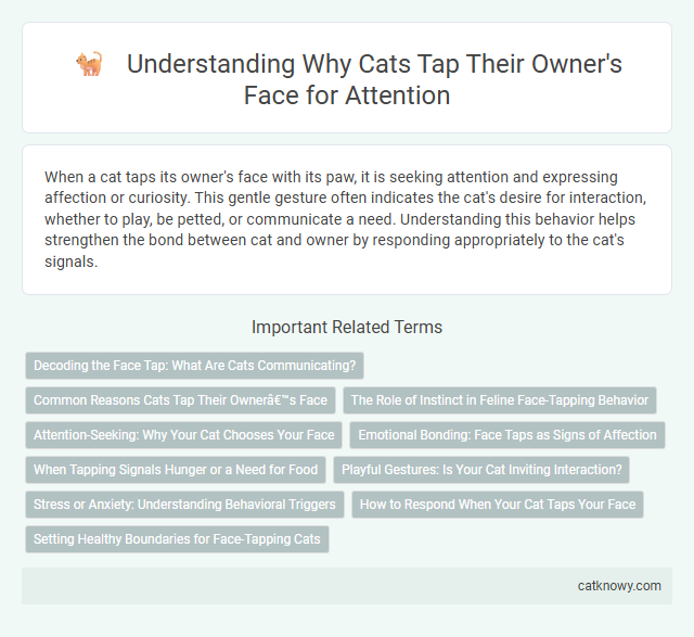 Understanding Why Cats Tap Their Owner's Face for Attention