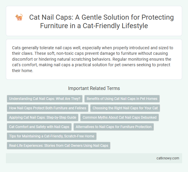 Cat Nail Caps: A Gentle Solution for Protecting Furniture in a Cat-Friendly Lifestyle