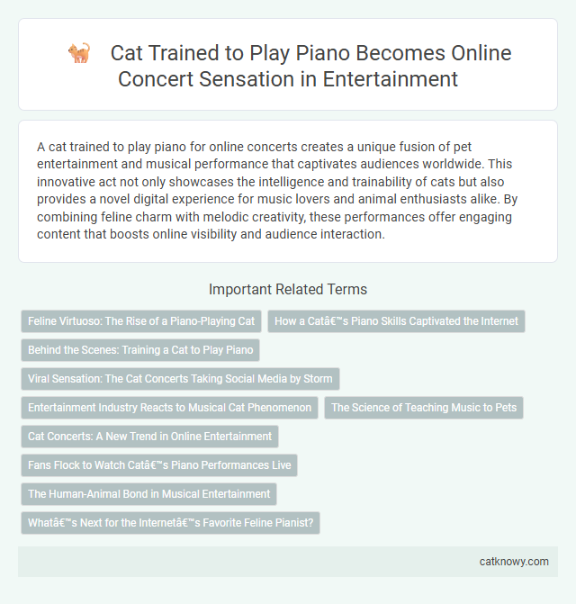 Cat Trained to Play Piano Becomes Online Concert Sensation in Entertainment