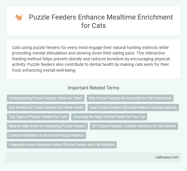 Puzzle Feeders Enhance Mealtime Enrichment for Cats
