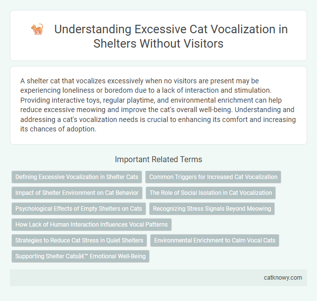 Understanding Excessive Cat Vocalization in Shelters Without Visitors