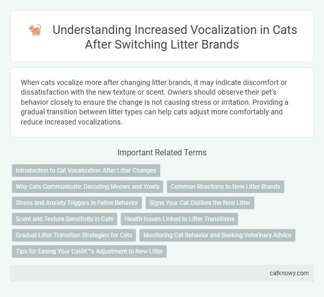 Understanding Increased Vocalization in Cats After Switching Litter Brands
