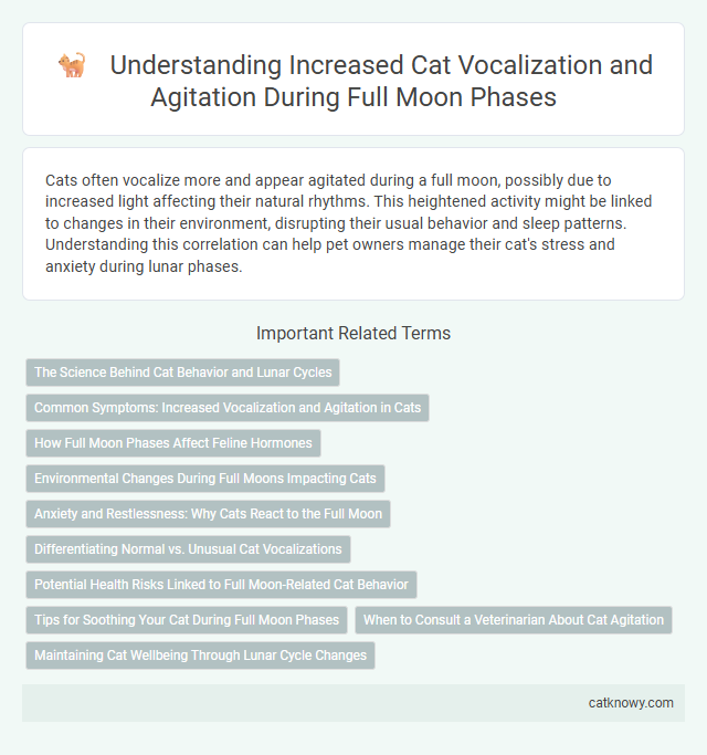 Understanding Increased Cat Vocalization and Agitation During Full Moon Phases