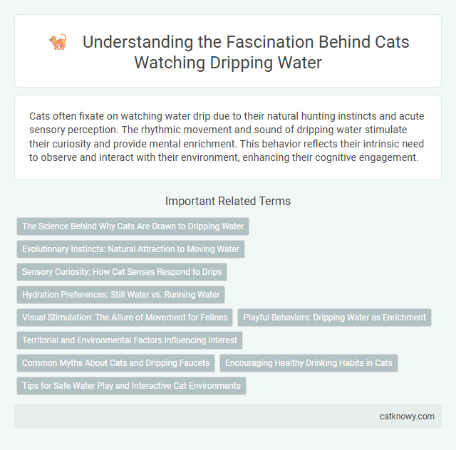 Understanding the Fascination Behind Cats Watching Dripping Water
