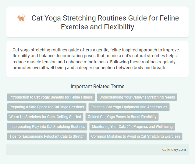 Cat Yoga Stretching Routines Guide for Feline Exercise and Flexibility
