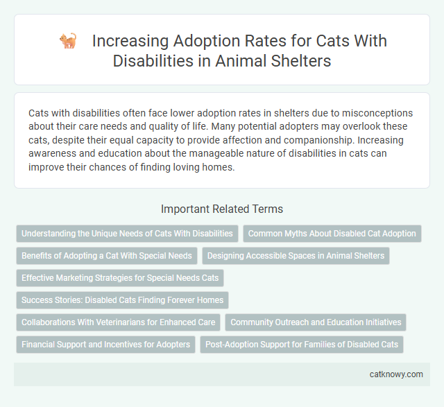 Increasing Adoption Rates for Cats With Disabilities in Animal Shelters